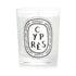 Diptyque/ディプティック+Scented Candle - Tubereuse (Tuberose) +190g/6.5oz ブランドコスメ