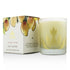 Mango Nectar Soy Candle Travel