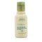 Shampure Hand & Body Wash Travel Size