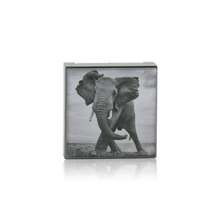 Chantecaille/シャンテカイユ+ルミネッセント アイシェード+2.5g/0.08oz+# Elephant (シマ― ト―プグレイ) ブランドコスメ