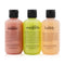 Congrats! 3-Piece Shower Gel Set (Box Slightly Damaged)